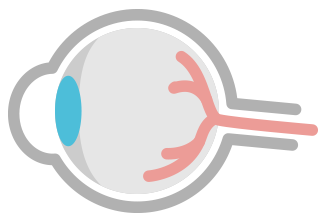 illustration: cross section of eye