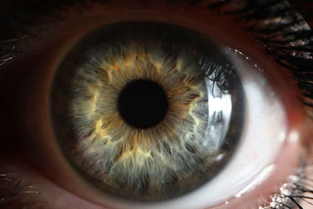 extreme closeup of an eye